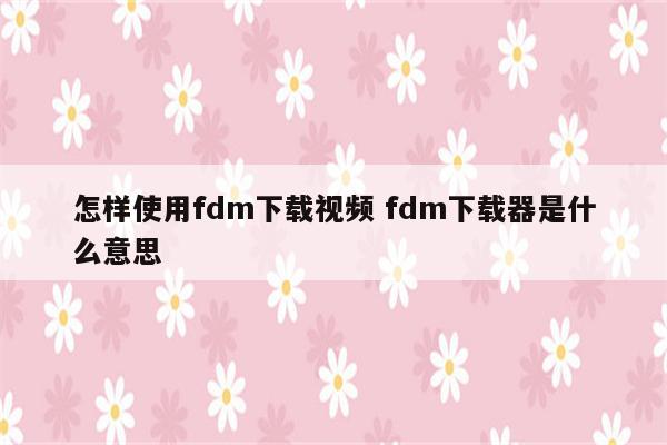怎样使用fdm下载视频 fdm下载器是什么意思