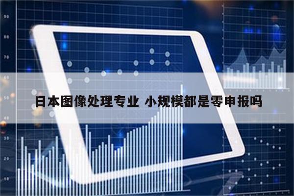 日本图像处理专业 小规模都是零申报吗