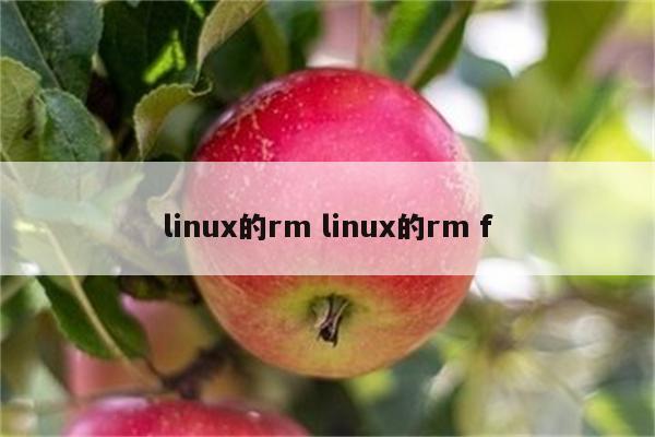 linux的rm linux的rm f