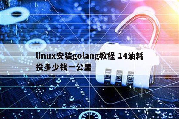 linux安装golang教程 14油耗投多少钱一公里
