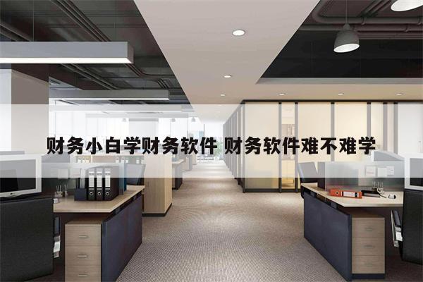 财务小白学财务软件 财务软件难不难学
