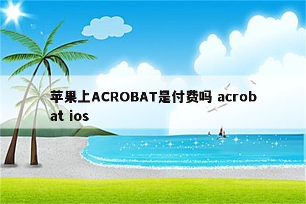 苹果上ACROBAT是付费吗 acrobat ios