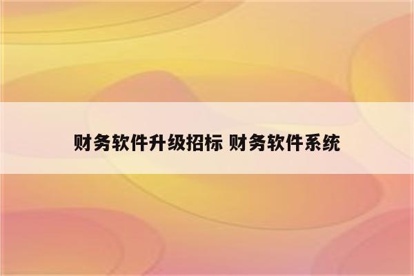 财务软件升级招标 财务软件系统