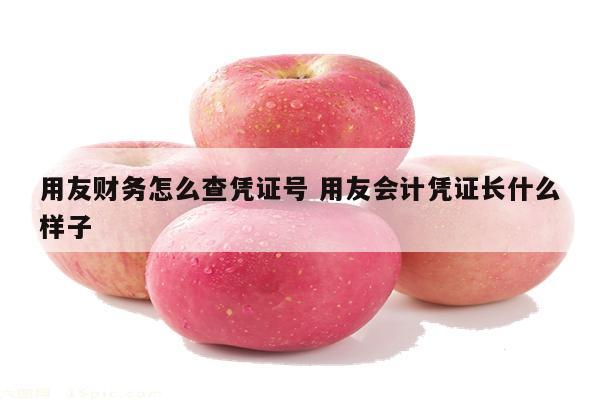 用友财务怎么查凭证号 用友会计凭证长什么样子