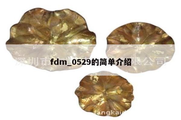 fdm_0529的简单介绍