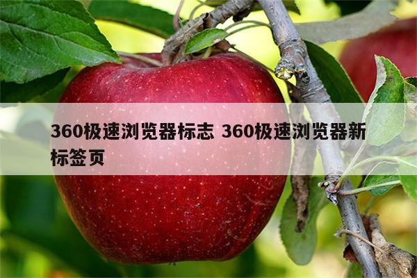 360极速浏览器标志 360极速浏览器新标签页