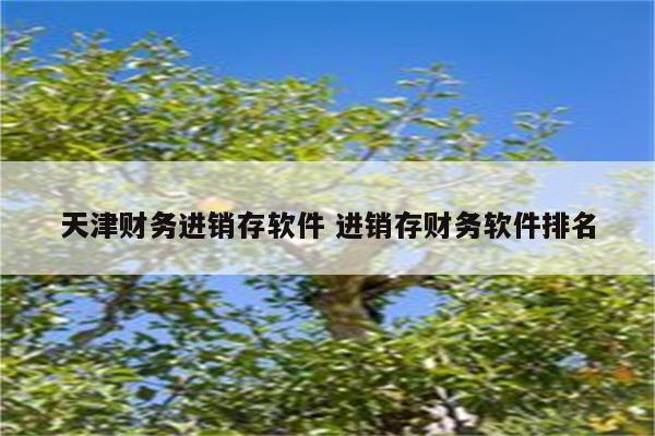 天津财务进销存软件 进销存财务软件排名