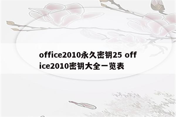 office2010永久密钥25 office2010密钥大全一览表