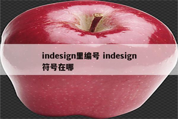 indesign里编号 indesign符号在哪