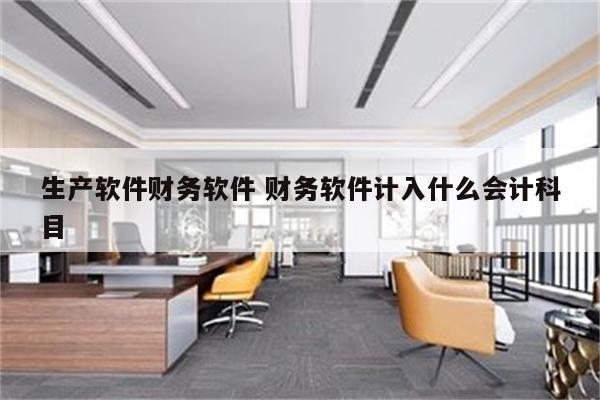 生产软件财务软件 财务软件计入什么会计科目