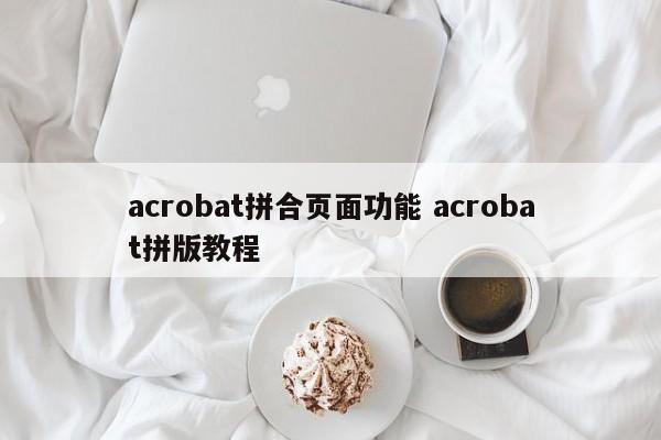acrobat拼合页面功能 acrobat拼版教程