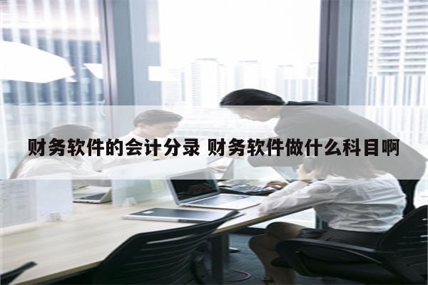 财务软件的会计分录 财务软件做什么科目啊