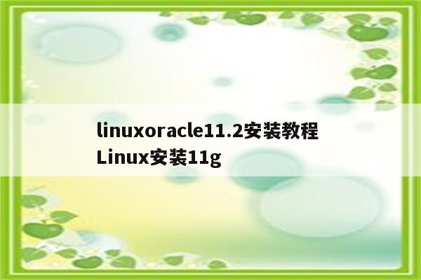 linuxoracle11.2安装教程 Linux安装11g