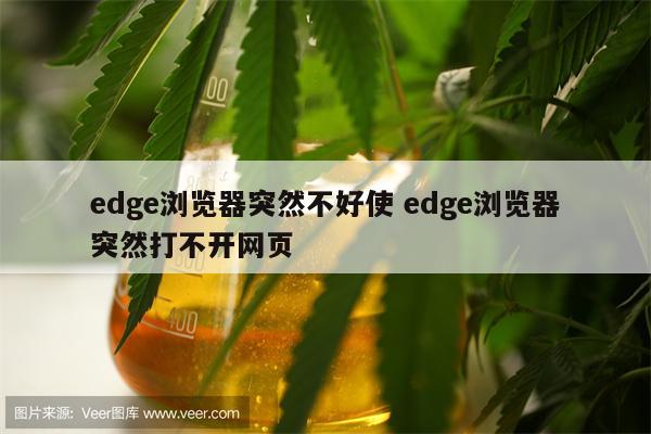 edge浏览器突然不好使 edge浏览器突然打不开网页