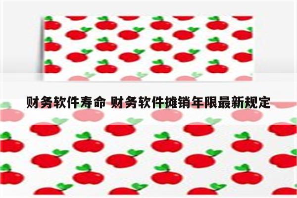 财务软件寿命 财务软件摊销年限最新规定