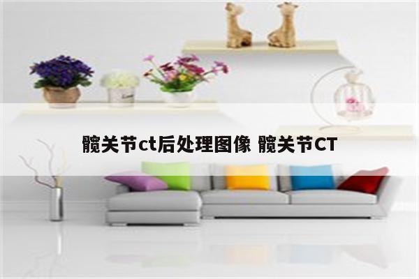 髋关节ct后处理图像 髋关节CT