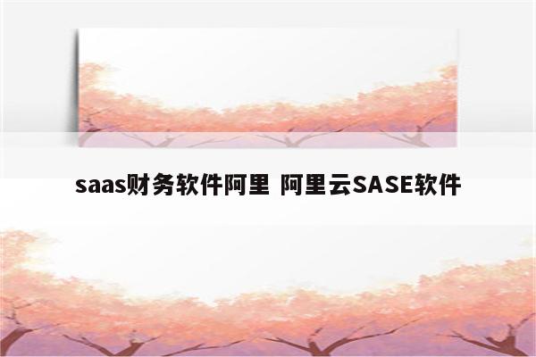 saas财务软件阿里 阿里云SASE软件