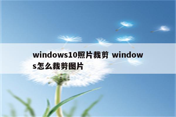 windows10照片裁剪 windows怎么裁剪图片