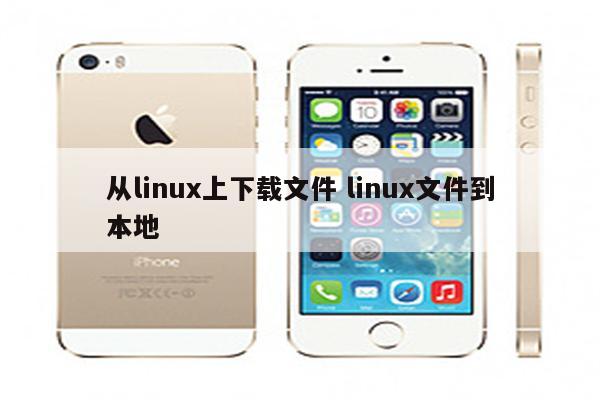 从linux上下载文件 linux文件到本地