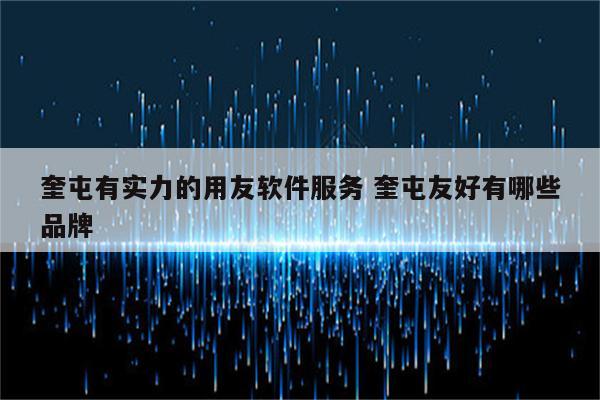 奎屯有实力的用友软件服务 奎屯友好有哪些品牌