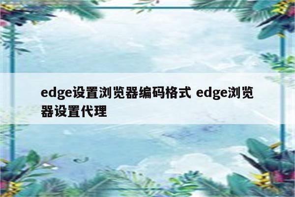 edge设置浏览器编码格式 edge浏览器设置代理