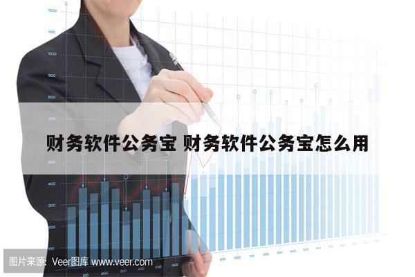 财务软件公务宝 财务软件公务宝怎么用