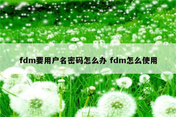 fdm要用户名密码怎么办 fdm怎么使用