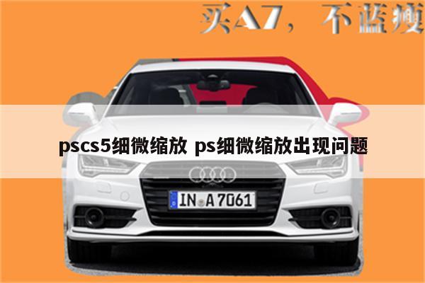 pscs5细微缩放 ps细微缩放出现问题