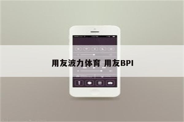 用友波力体育 用友BPI