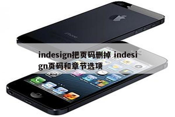 indesign把页码删掉 indesign页码和章节选项