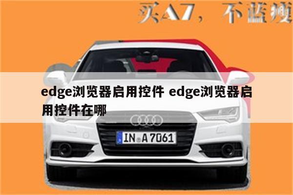 edge浏览器启用控件 edge浏览器启用控件在哪