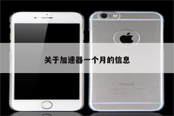 关于加速器一个月的信息