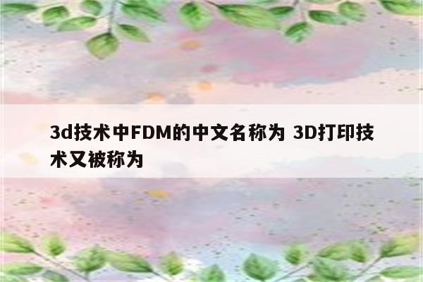 3d技术中FDM的中文名称为 3D打印技术又被称为