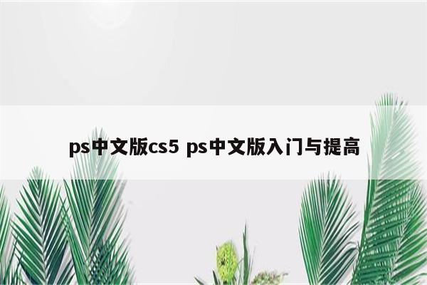 ps中文版cs5 ps中文版入门与提高