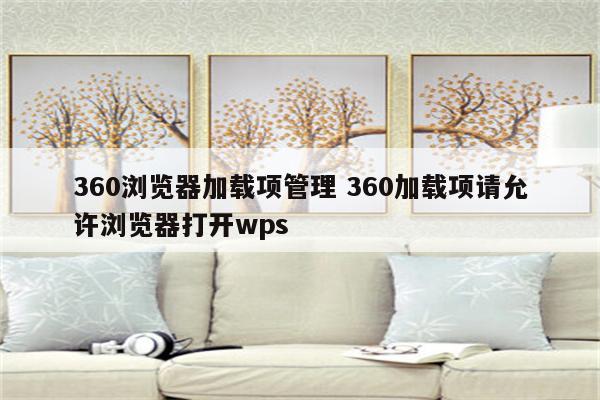 360浏览器加载项管理 360加载项请允许浏览器打开wps