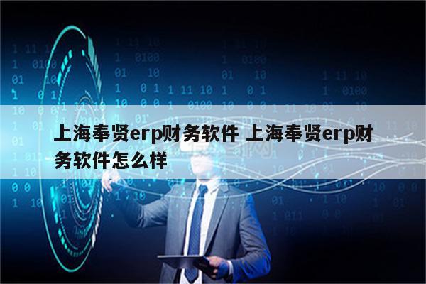 上海奉贤erp财务软件 上海奉贤erp财务软件怎么样