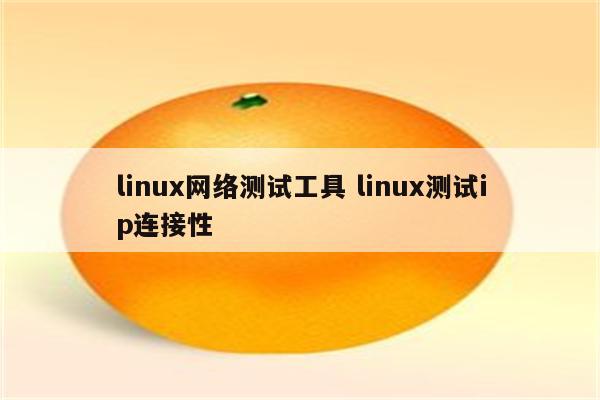 linux网络测试工具 linux测试ip连接性