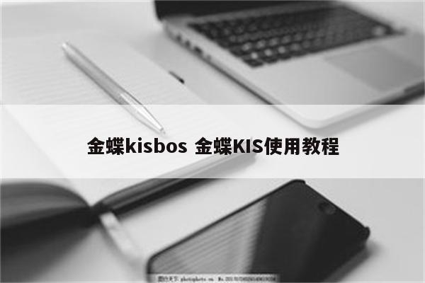 金蝶kisbos 金蝶KIS使用教程