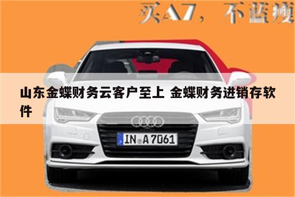 山东金蝶财务云客户至上 金蝶财务进销存软件