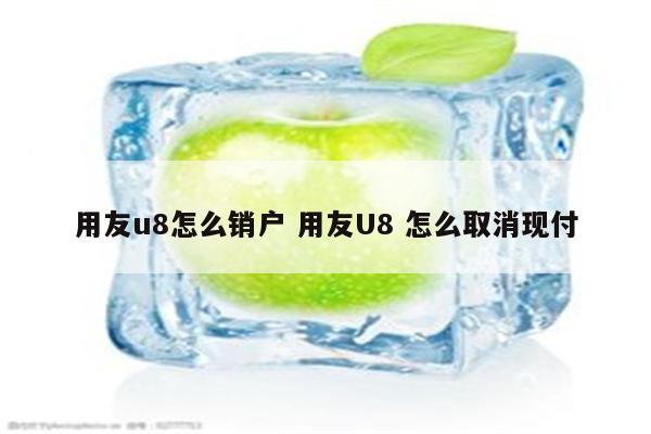 用友u8怎么销户 用友U8 怎么取消现付