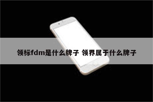 领标fdm是什么牌子 领界属于什么牌子