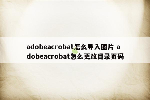 adobeacrobat怎么导入图片 adobeacrobat怎么更改目录页码