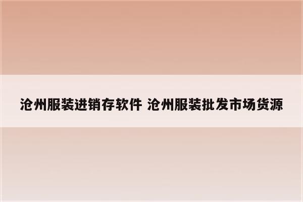 沧州服装进销存软件 沧州服装批发市场货源