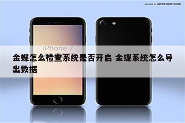 金蝶怎么检查系统是否开启 金蝶系统怎么导出数据