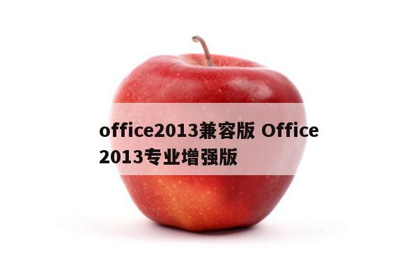 office2013兼容版 Office2013专业增强版