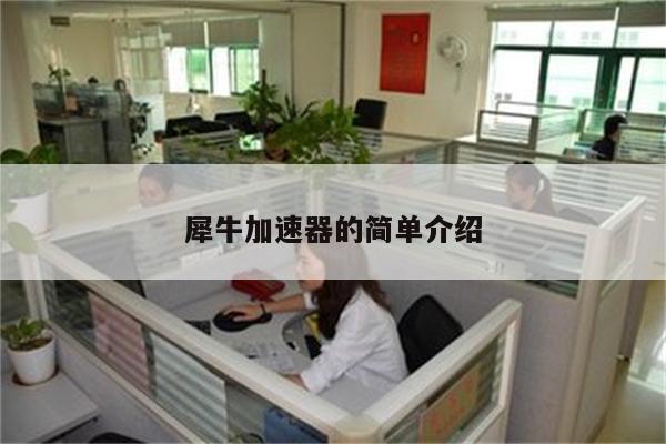 犀牛加速器的简单介绍