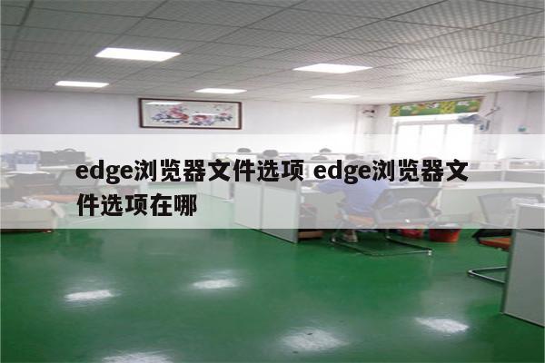 edge浏览器文件选项 edge浏览器文件选项在哪