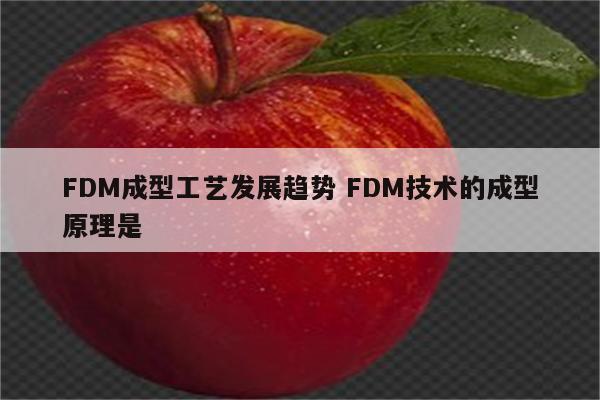 FDM成型工艺发展趋势 FDM技术的成型原理是