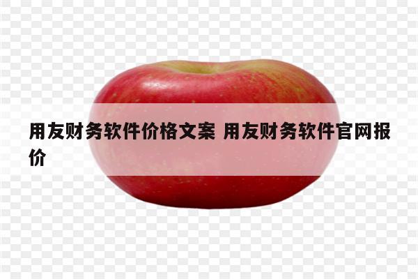 用友财务软件价格文案 用友财务软件官网报价
