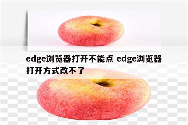 edge浏览器打开不能点 edge浏览器打开方式改不了